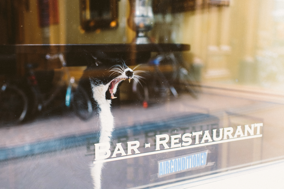 Rejoignez la page Facebook de Un+Un Photographie http://www.facebook.com/UnPlusUnPhotographie