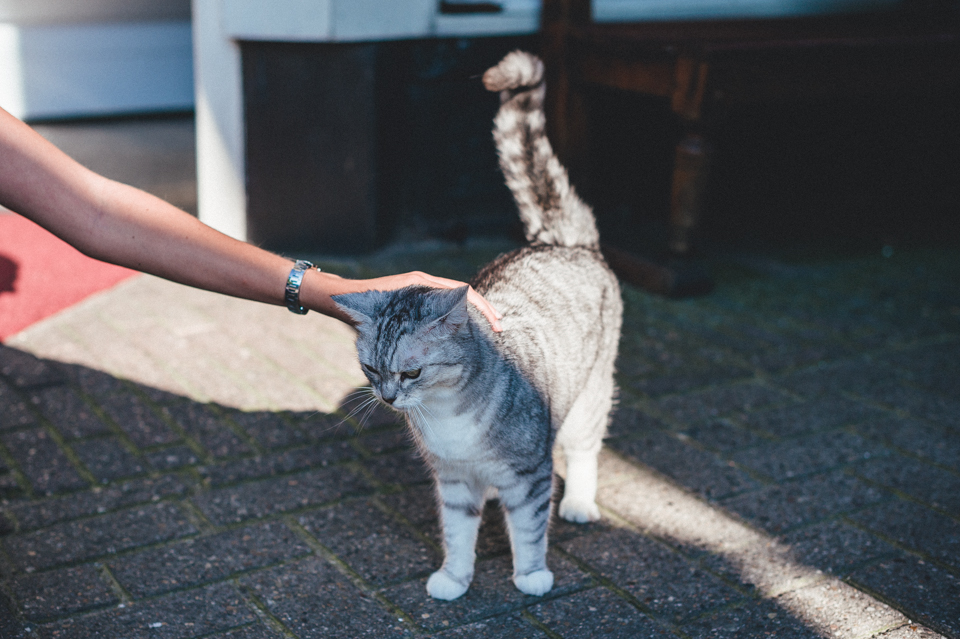 Rejoignez la page Facebook de Un+Un Photographie http://www.facebook.com/UnPlusUnPhotographie