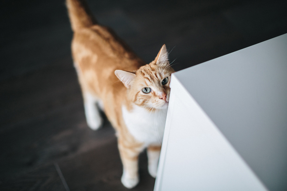 Hind_Nicolas_Engagement_Paris_WEB_JeanLaurentGaudy_010