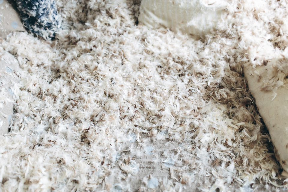 Hind_Nicolas_Engagement_Paris_WEB_JeanLaurentGaudy_067