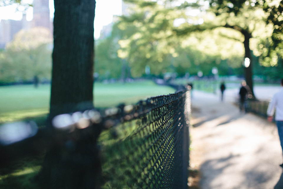 Pauline_Romain_Engagement_NewYork_WEB_JeanLaurentGaudy_064