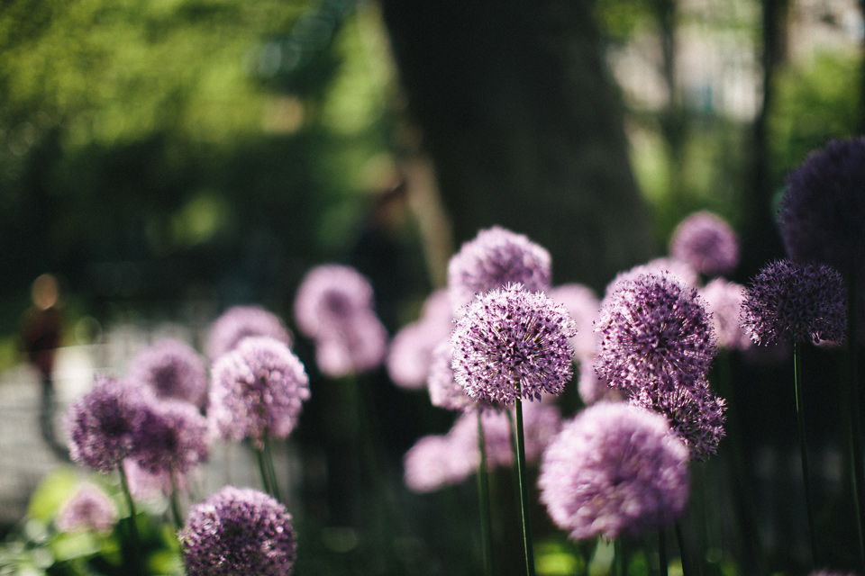 Pauline_Romain_Engagement_NewYork_WEB_JeanLaurentGaudy_064c