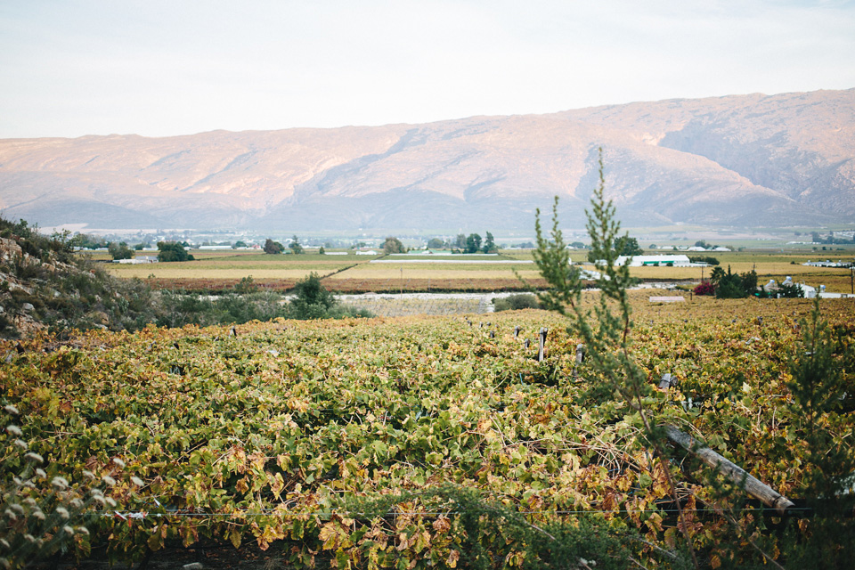 Cari_Louw_LoveSession_SouthAfrica_WEB_JeanLaurentGaudy_006