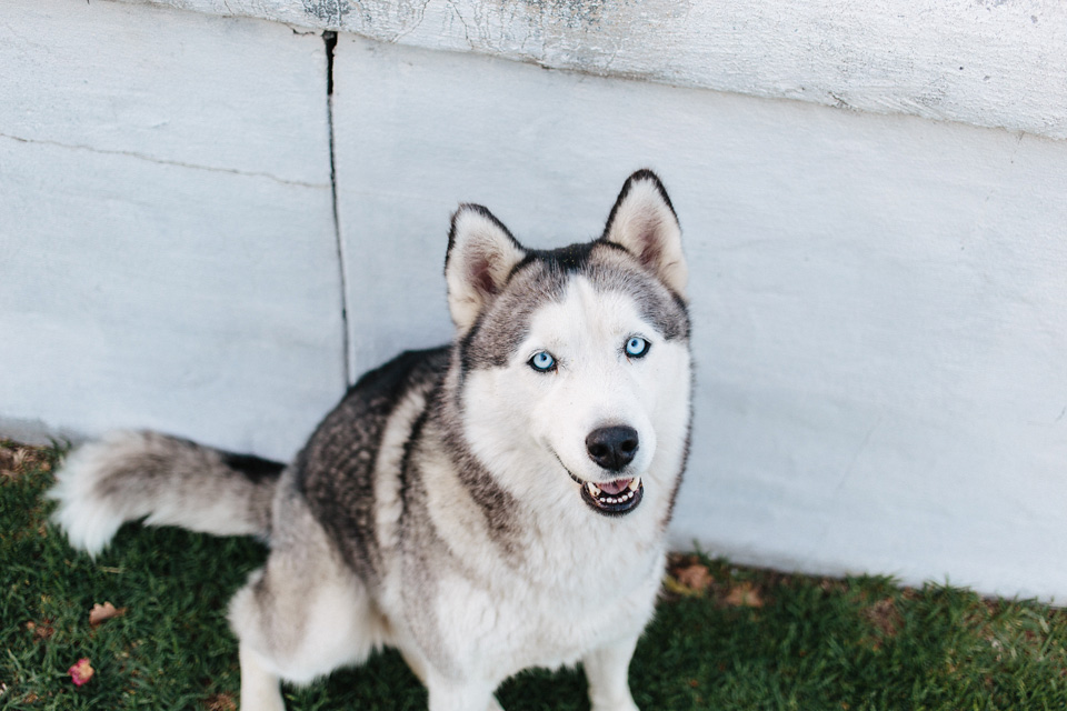 Cari_Louw_LoveSession_SouthAfrica_WEB_JeanLaurentGaudy_016