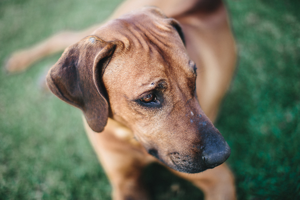 Cari_Louw_LoveSession_SouthAfrica_WEB_JeanLaurentGaudy_020