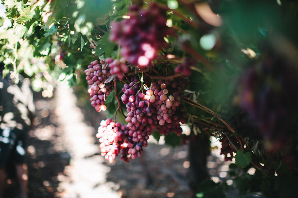 Cari_Louw_LoveSession_SouthAfrica_WEB_JeanLaurentGaudy_070