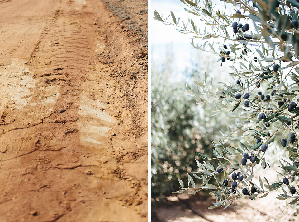 Cari & Louw Rustic South Africa Wedding by Jean-Laurent Gaudy Photography