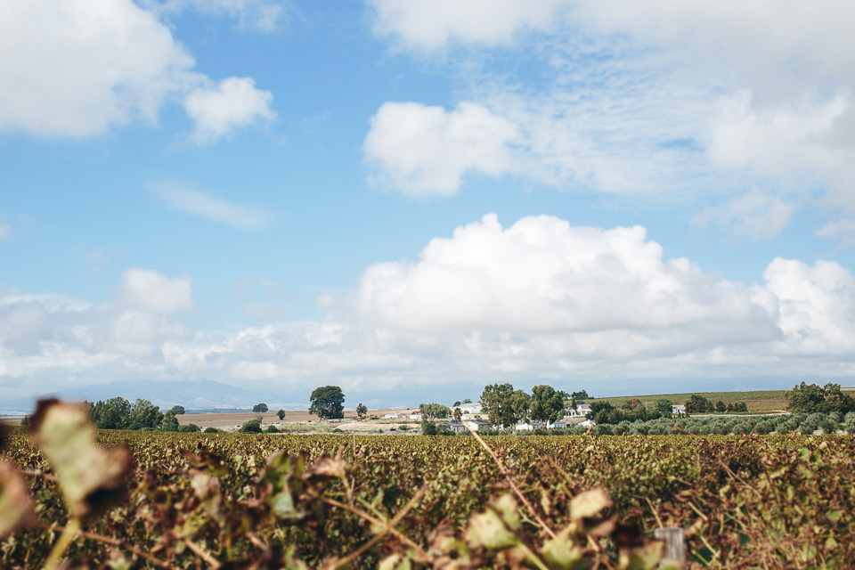 Cari & Louw Rustic South Africa Wedding by Jean-Laurent Gaudy Photography
