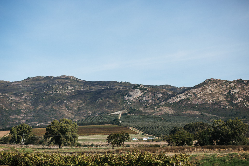 Cari & Louw Rustic South Africa Wedding by Jean-Laurent Gaudy Photography