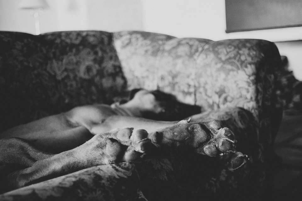 Cari & Louw Rustic South Africa Wedding by Jean-Laurent Gaudy Photography