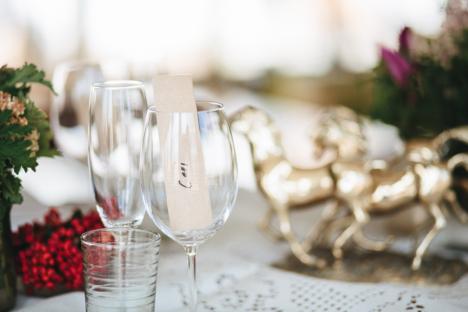 Cari & Louw Rustic South Africa Wedding by Jean-Laurent Gaudy Photography