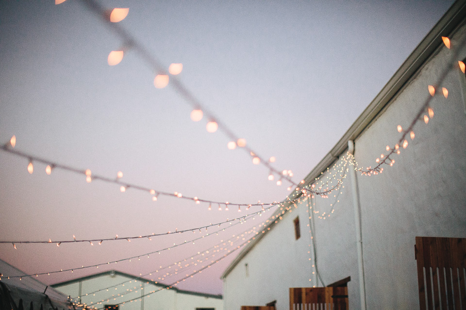 Cari & Louw Rustic South Africa Wedding by Jean-Laurent Gaudy Photography