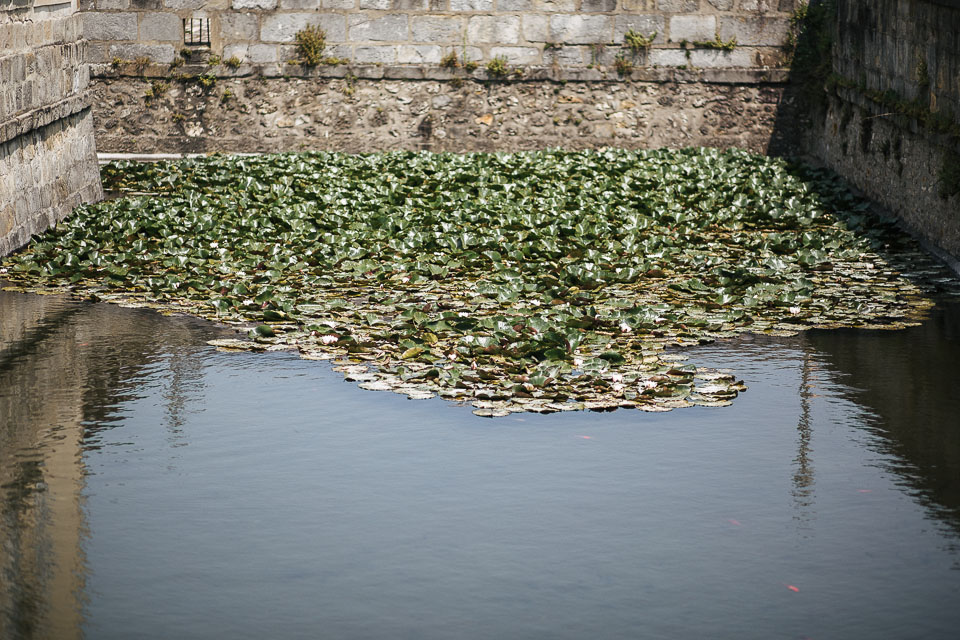 Hind_Nico_Wedding_BLOG_JeanLaurentGaudy_043