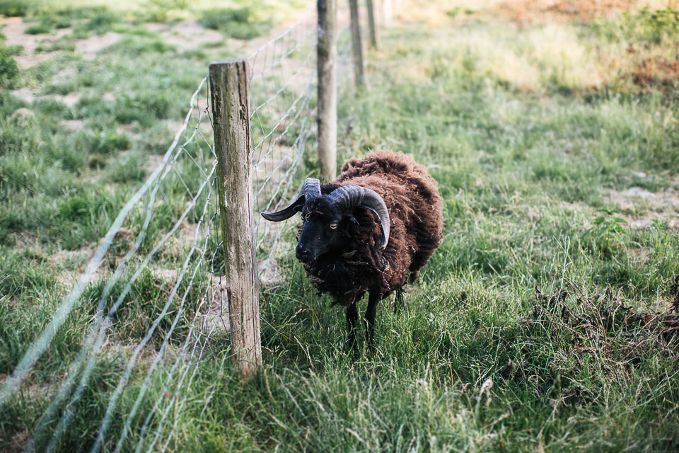 Amandine_Aurelien_Quincampoix_Wedding_BLOG_JeanLaurentGaudy_131