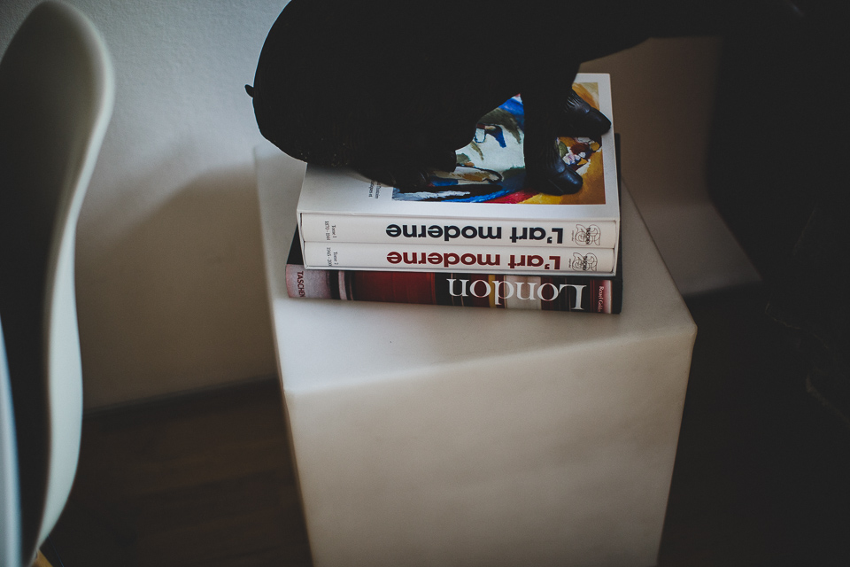 Emmanuelle & Vincent London Engagement - Jean-Laurent Gaudy Photography