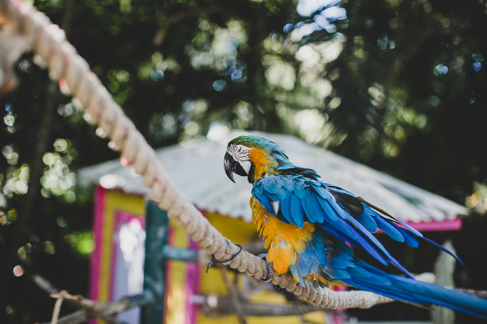 Guadeloupe_JeanLaurentGaudy_006