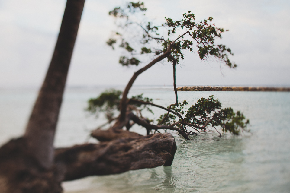 Guadeloupe_JeanLaurentGaudy_012