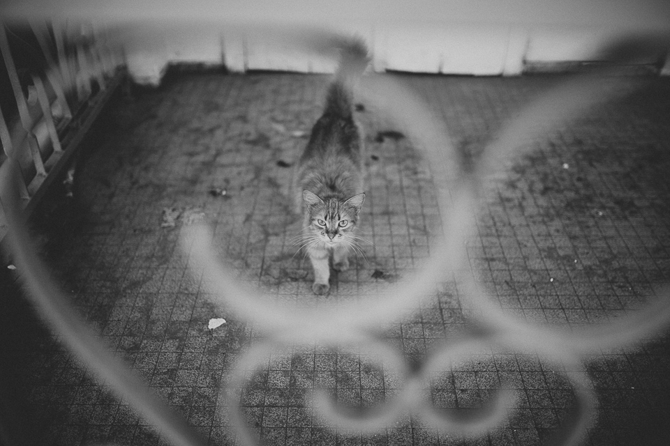 Guadeloupe_JeanLaurentGaudy_030