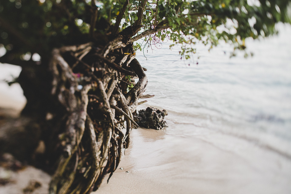 Guadeloupe_JeanLaurentGaudy_034