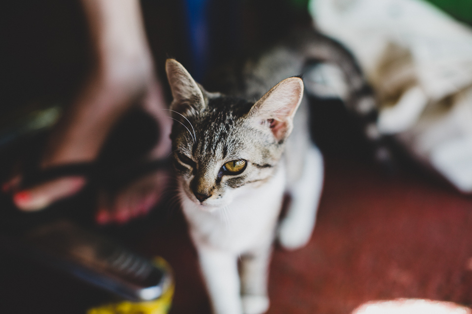 Guadeloupe_JeanLaurentGaudy_042