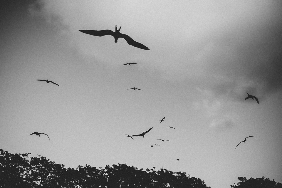 Guadeloupe_JeanLaurentGaudy_049