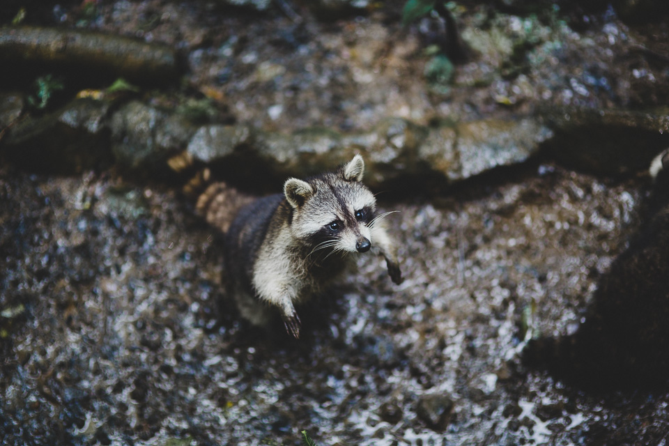 Guadeloupe_JeanLaurentGaudy_060