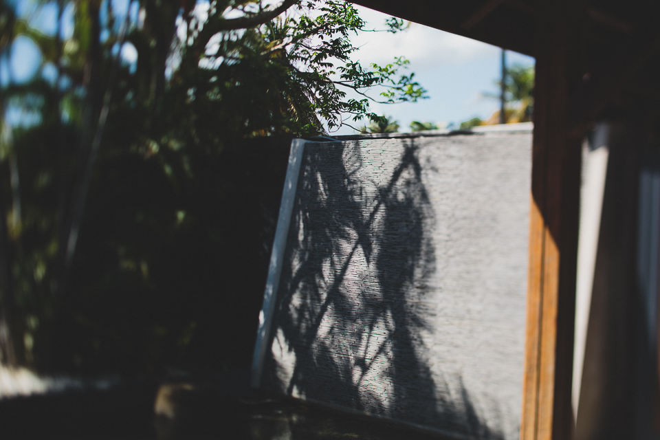 Guadeloupe_JeanLaurentGaudy_081