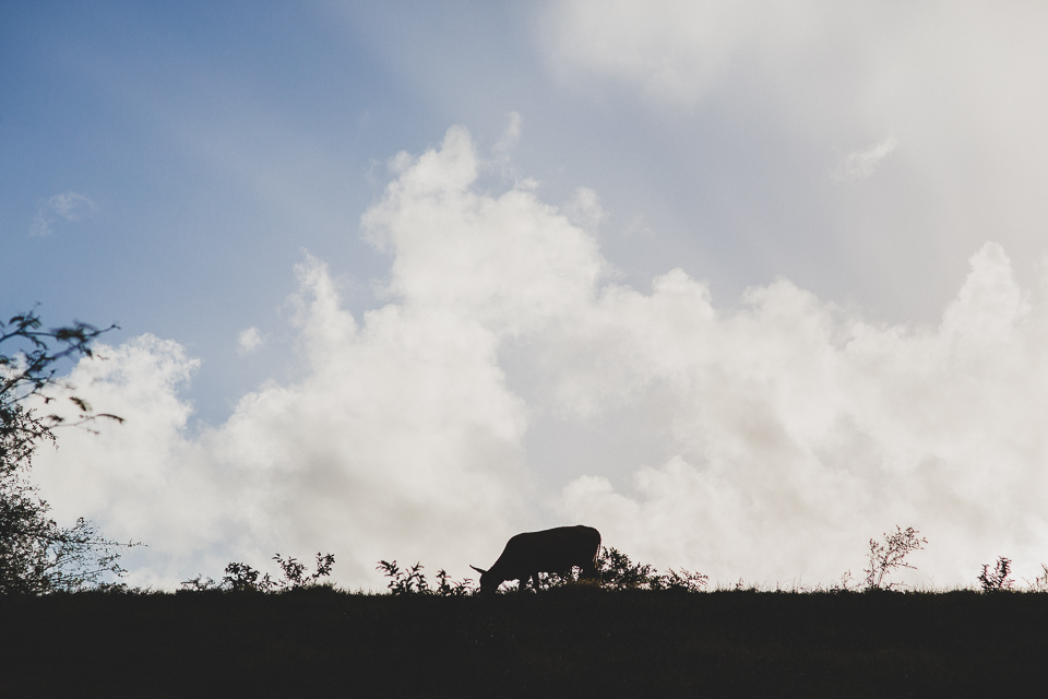 Wedding_Sylvia_Didier_BLOG_JeanLaurentGaudy_002