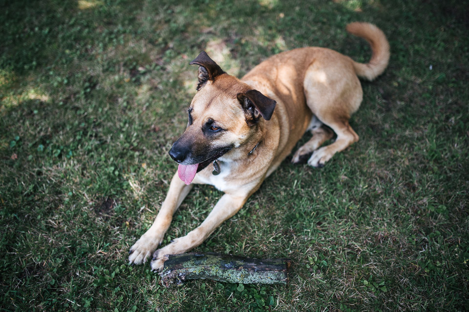 Wedding_Rachel_Jeremy_Chateau_Du_Fay_JeanLaurentGaudy_008