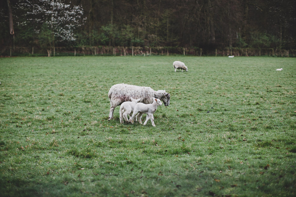 Will_Toby_Engagement_London_BLOG_JeanLaurentGaudy_065
