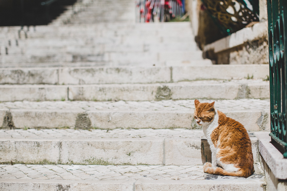 Virginie & Cedric Cascais Portugal Engagement by Jean-Laurent Gaudy Photography