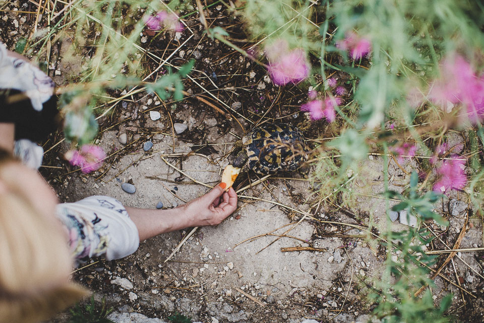 Tanja_Hussein_Elopement_France_Marseille_JeanLaurentGaudy_0_013