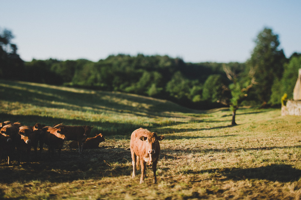 Jessica_Robert_Intimate_DestinationWedding_France_JeanLaurentGaudy_003