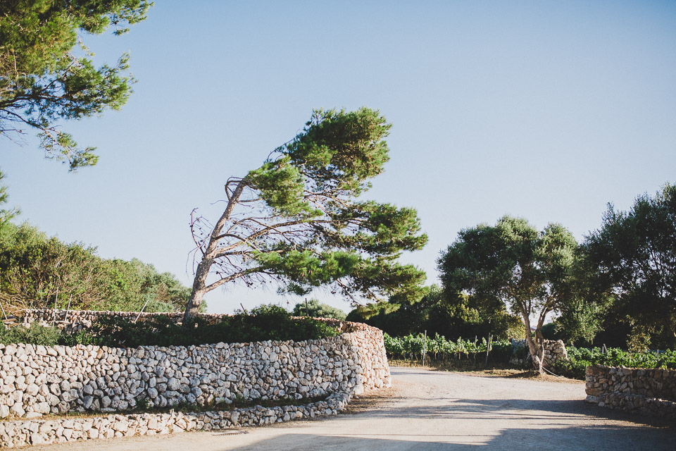 Will & Toby Minorca Spain Intimate Wedding By Jean-Laurent Gaudy Photography