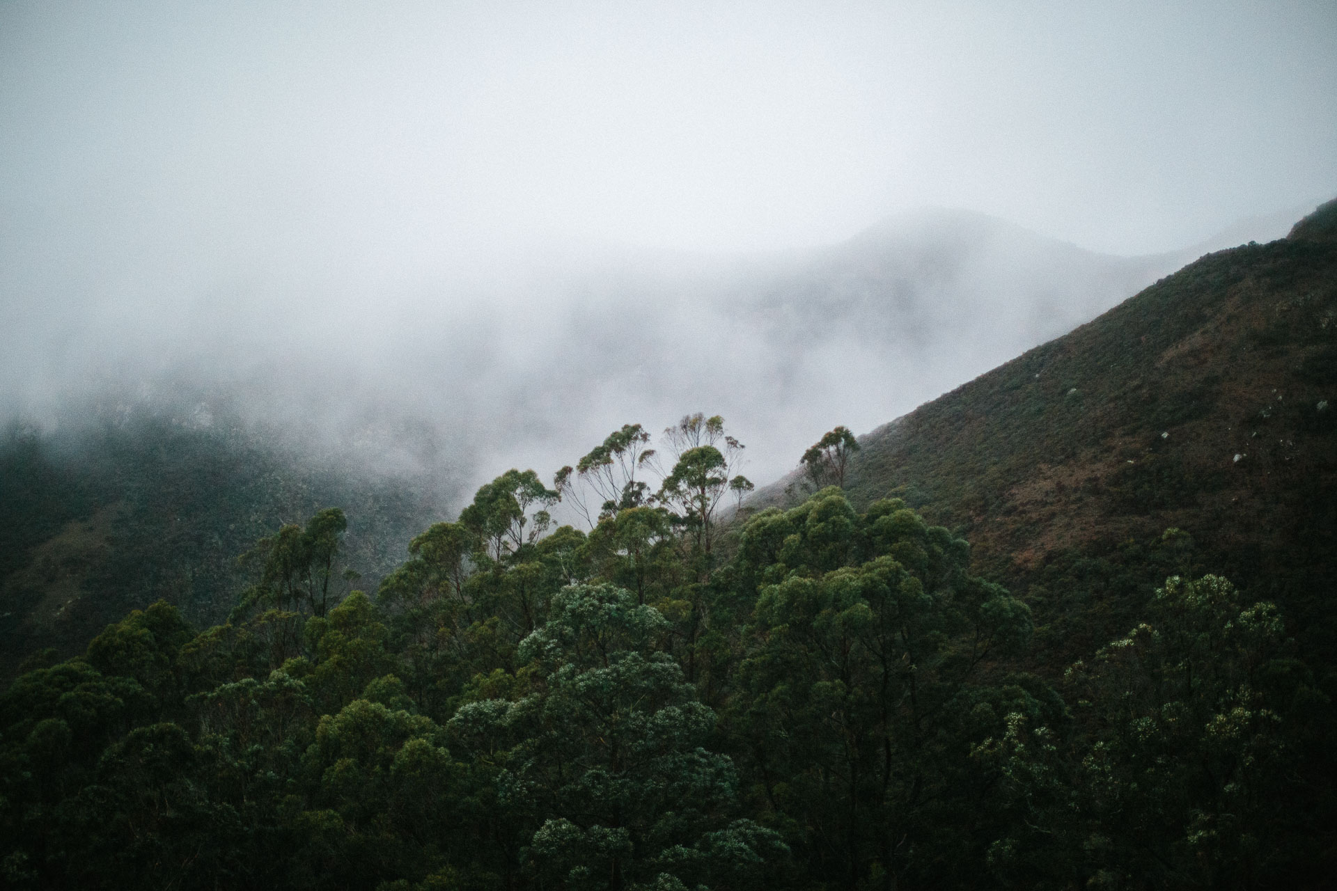 Caroline_Marc_LoveSession_SanFrancisco_USA_JeanLaurentGaudy_002