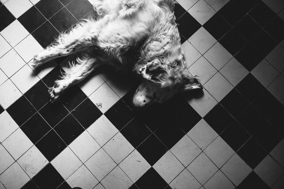 Jennifer & Guillaume Music Festival Wedding France by Jean-Laurent Gaudy Photography