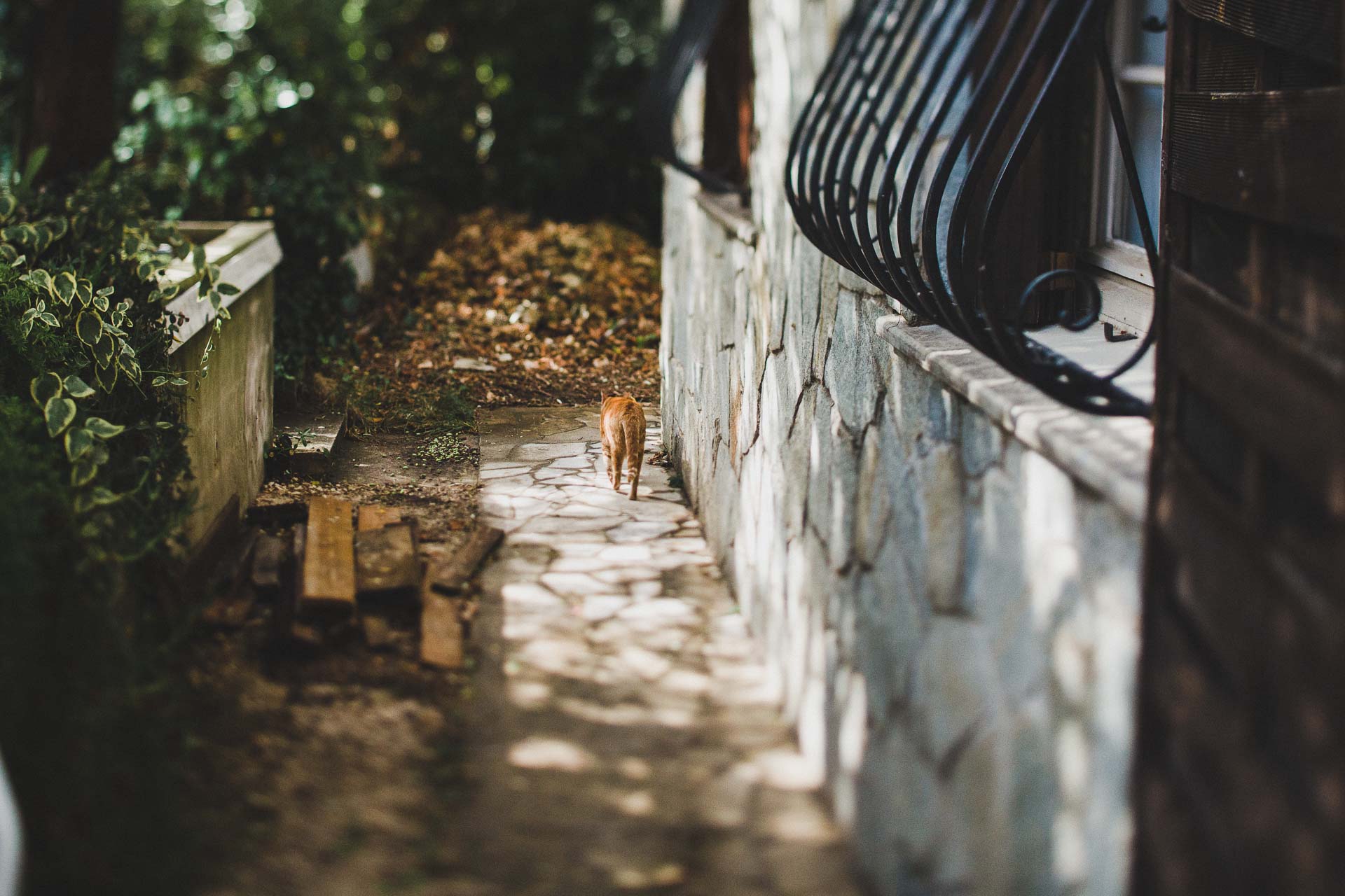 Lea & David Americana Folk Wedding France by Jean-Laurent Gaudy Photography