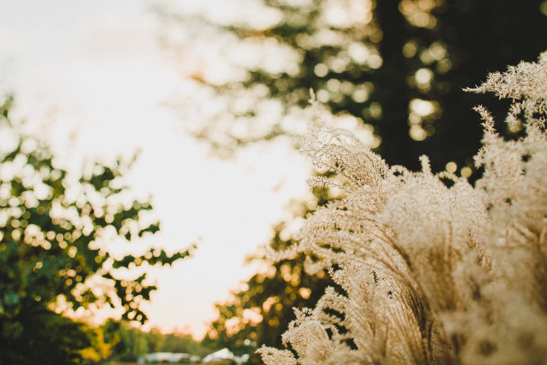 Marlene_Yoann_Engagement_Paris_France_JeanLaurentGaudy_033