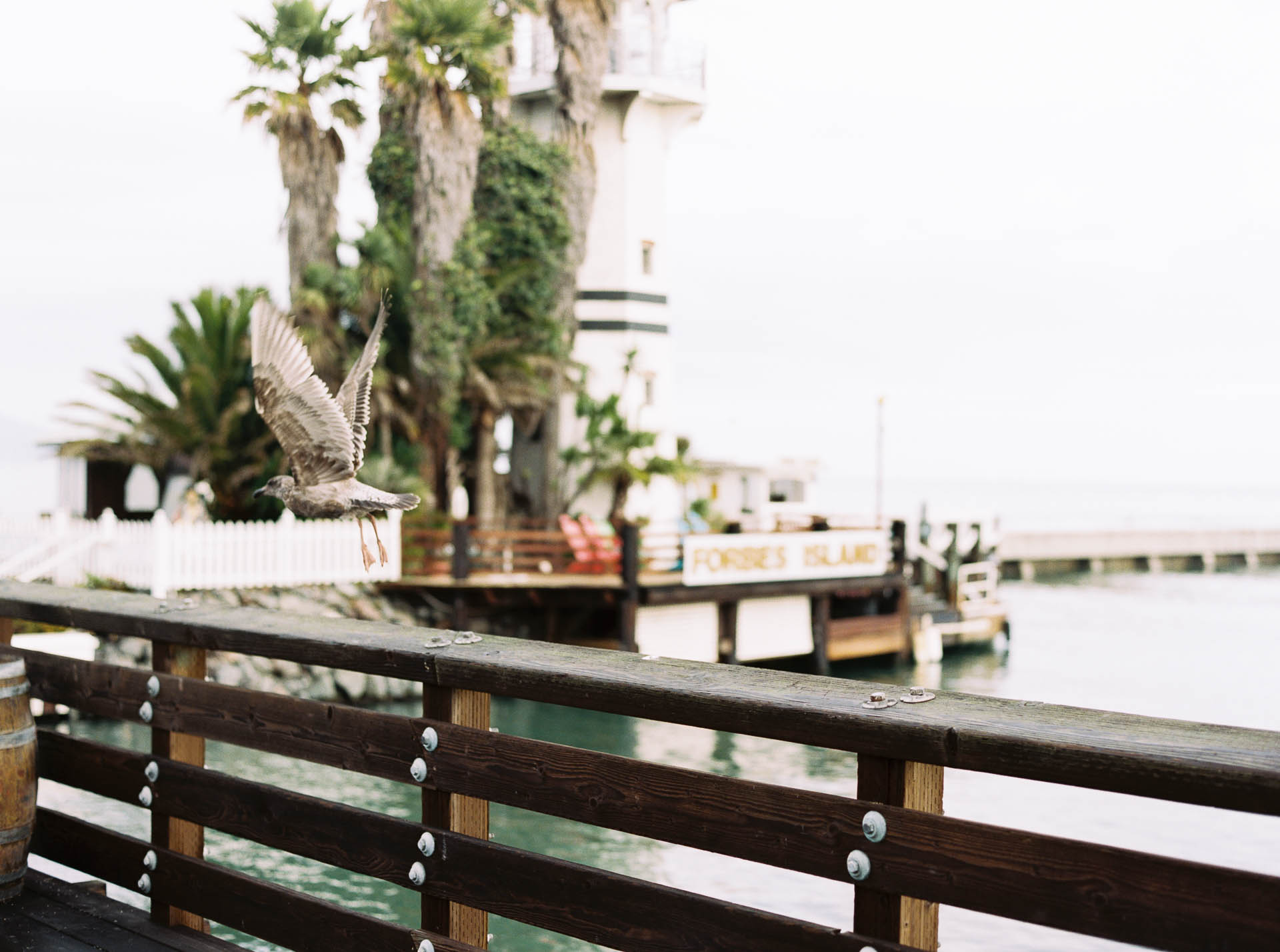 SanFrancisco_JeanLaurentGaudy_008