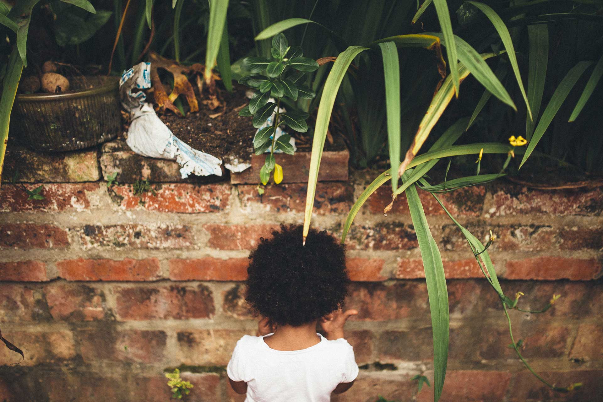 Oscar & Christine Barichara Wedding Colombia By Jean-Laurent Gaudy Photography