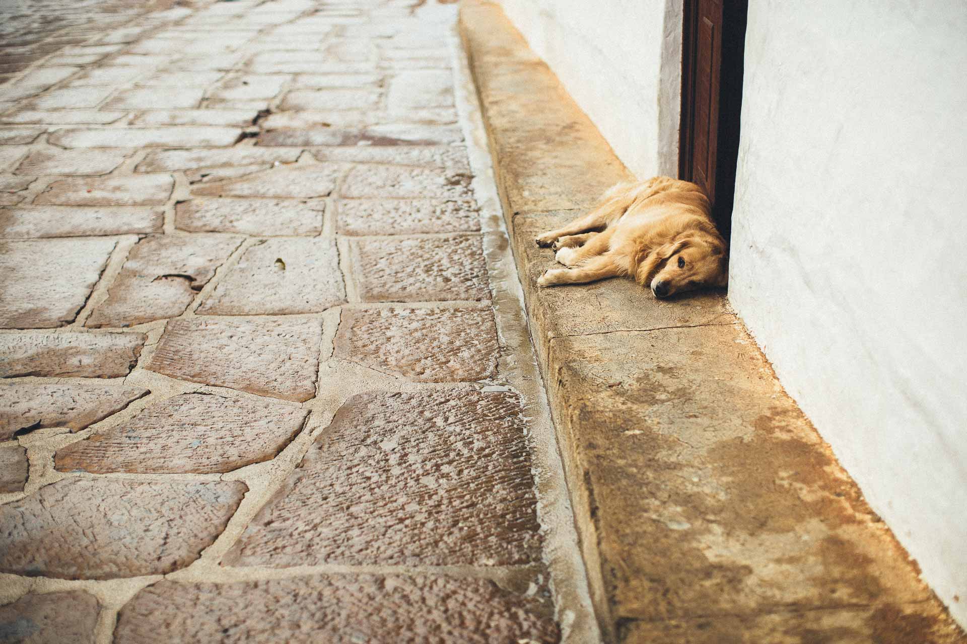 Oscar & Christine Barichara Wedding Colombia By Jean-Laurent Gaudy Photography
