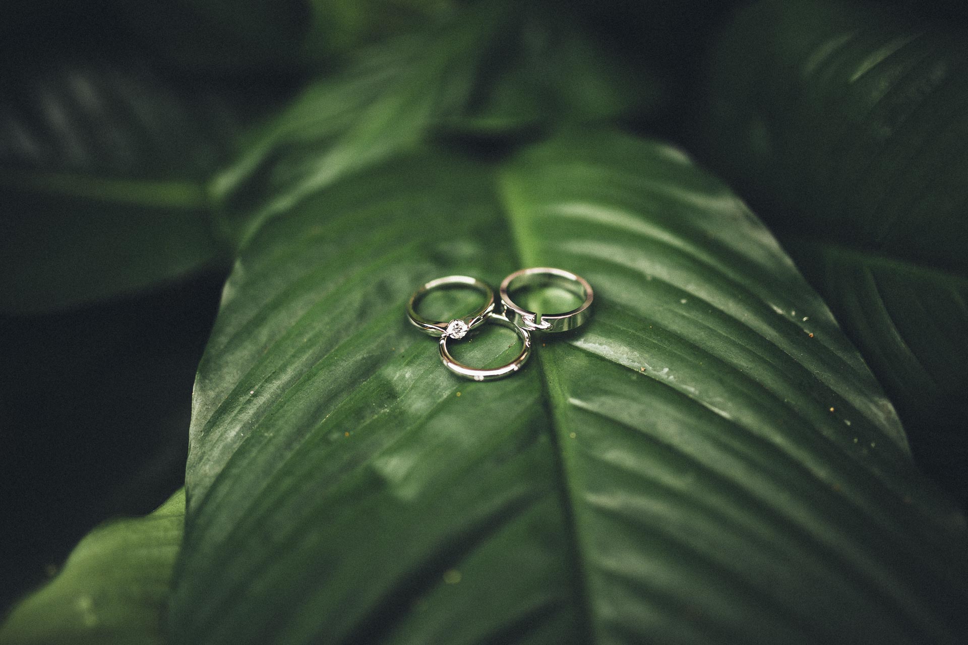 Oscar & Christine Barichara Wedding Colombia By Jean-Laurent Gaudy Photography
