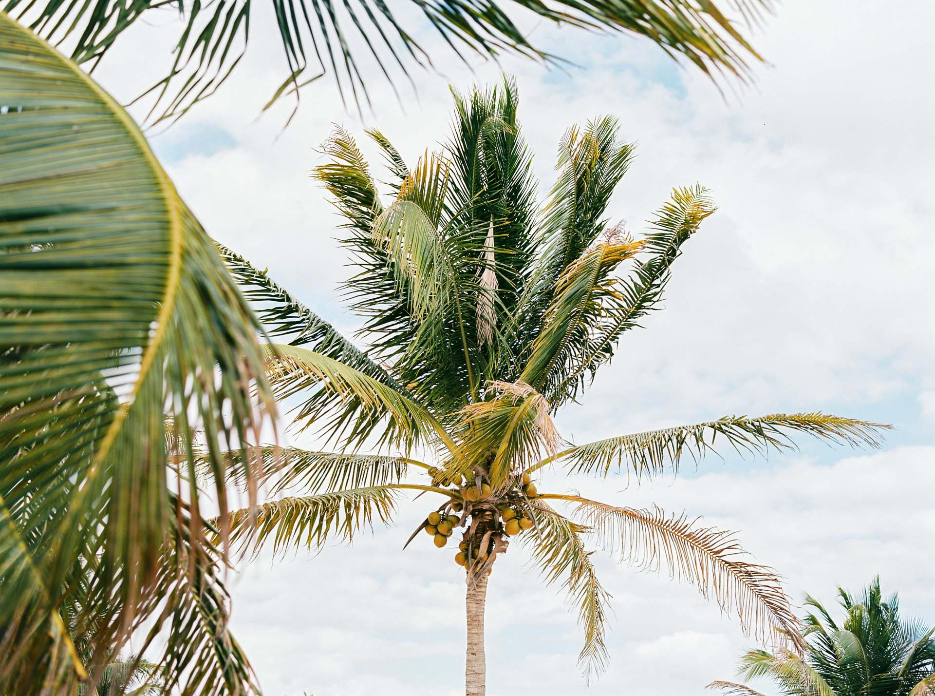 Yucatan & Quintana Roo . Mexico . Travels by Jean-Laurent Gaudy Photography