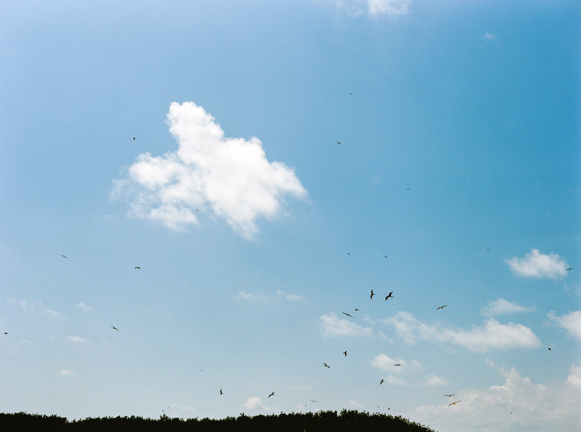 Yucatan & Quintana Roo . Mexico . Travels by Jean-Laurent Gaudy Photography