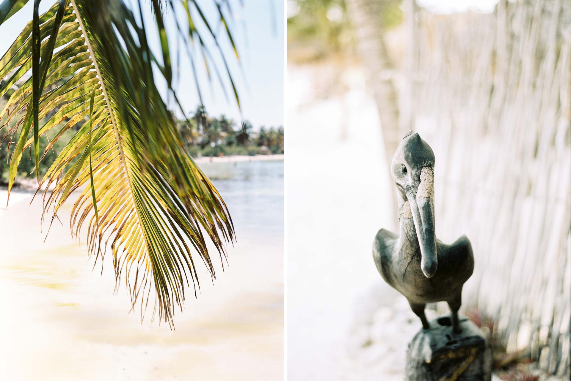 Yucatan & Quintana Roo . Mexico . Travels by Jean-Laurent Gaudy Photography