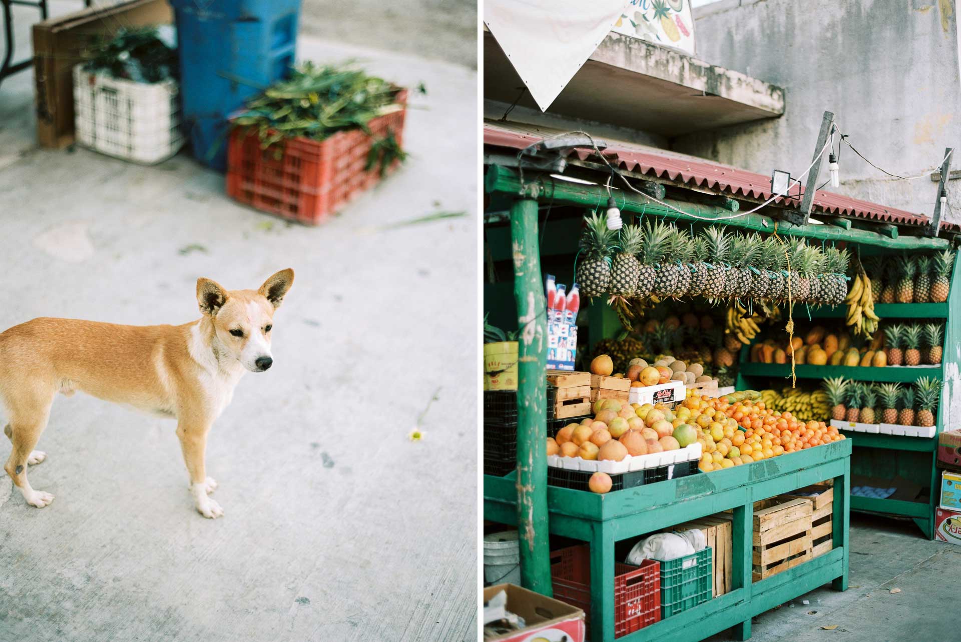 Yucatan & Quintana Roo . Mexico . Travels by Jean-Laurent Gaudy Photography