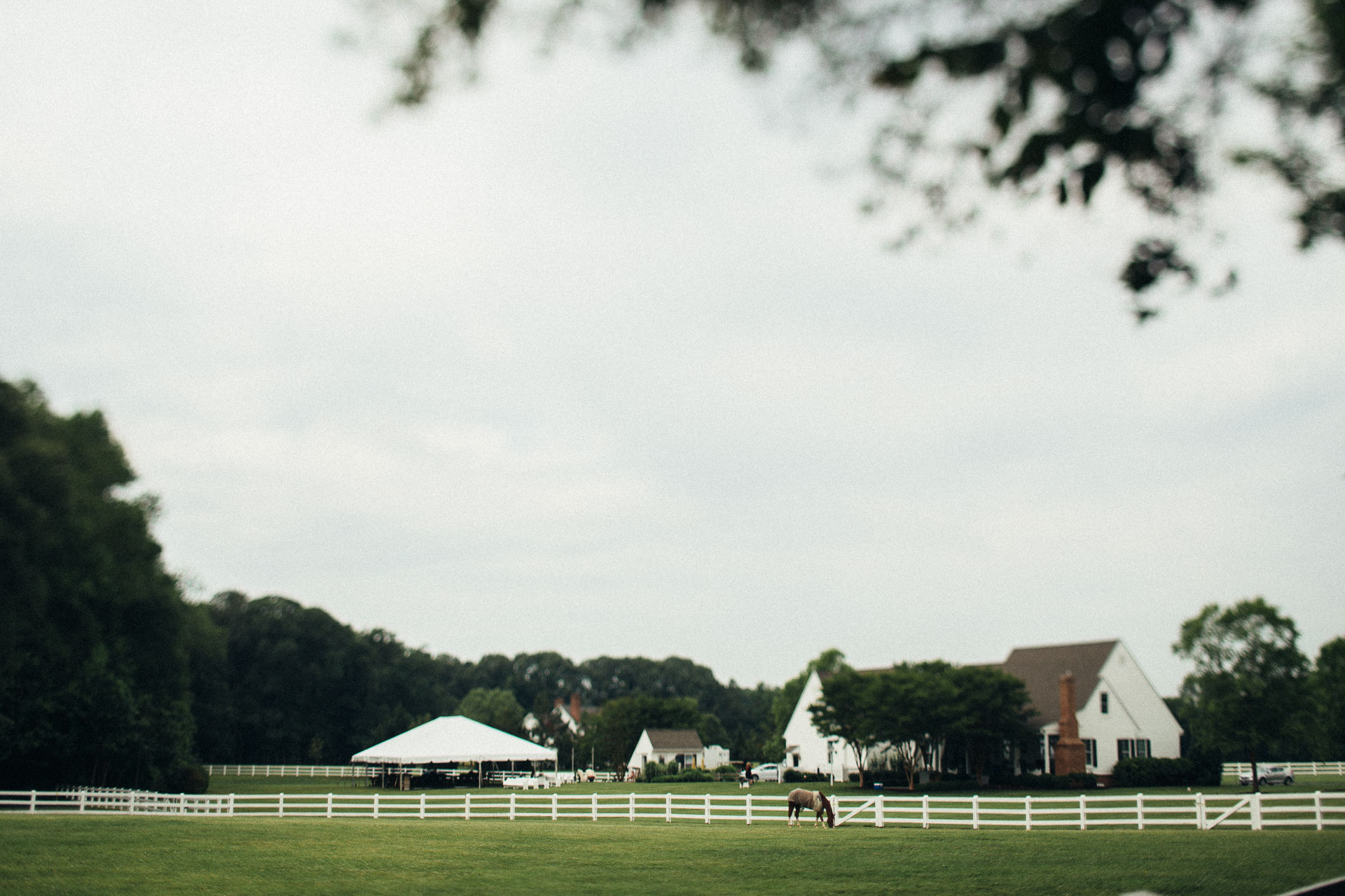 Shawna & Josh Ranch Wedding in Maryland by Jean-Laurent Gaudy Photography