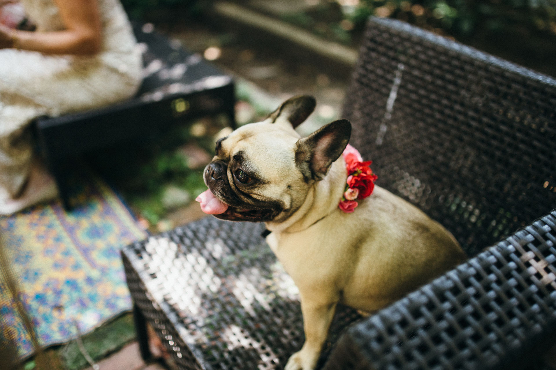 Maris & Brock Alternative Brooklyn Wedding By Jean-Laurent Gaudy Photography