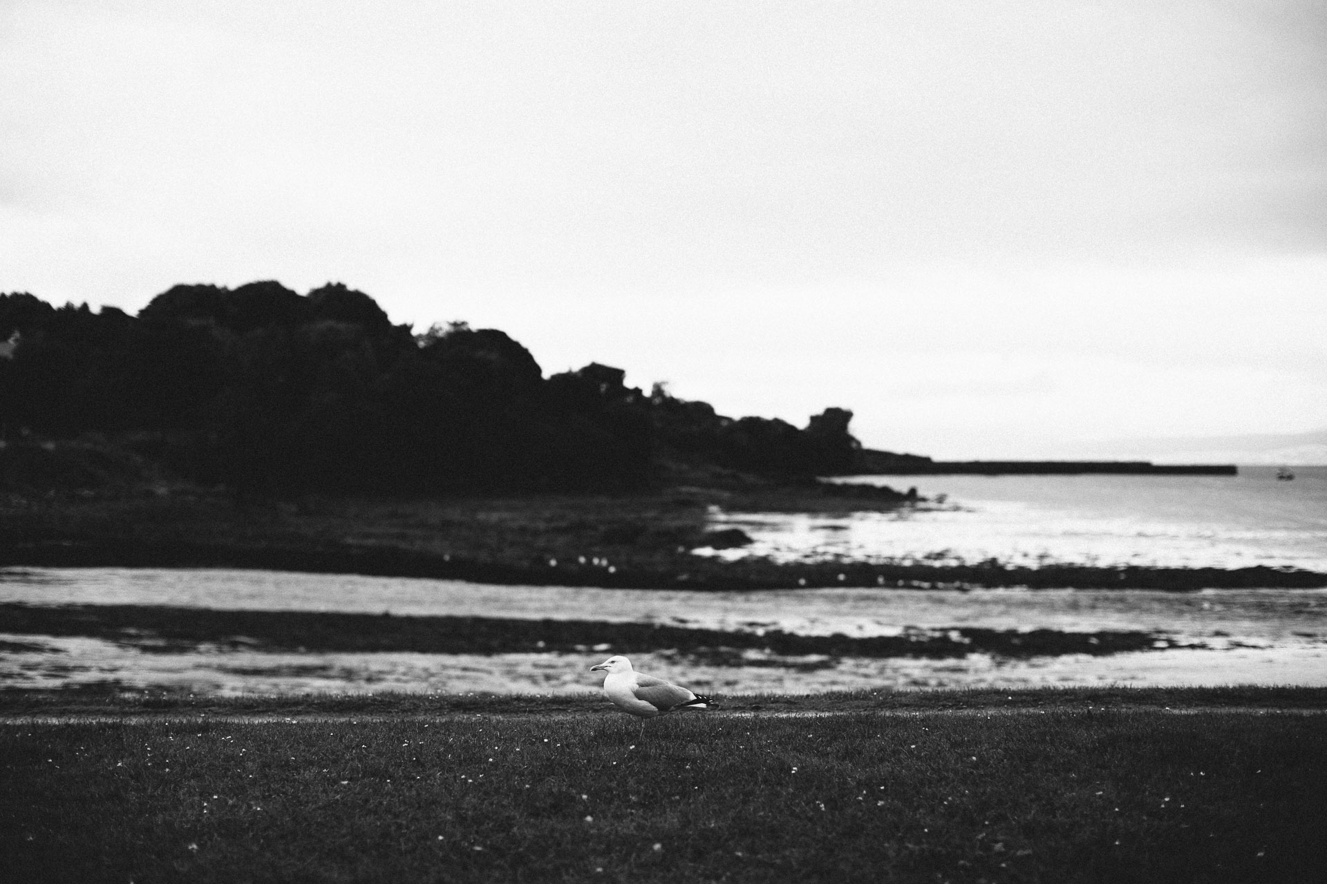 Isle Of Skye Intimate Elopement in Scotland by Jean-Laurent Gaudy Photography