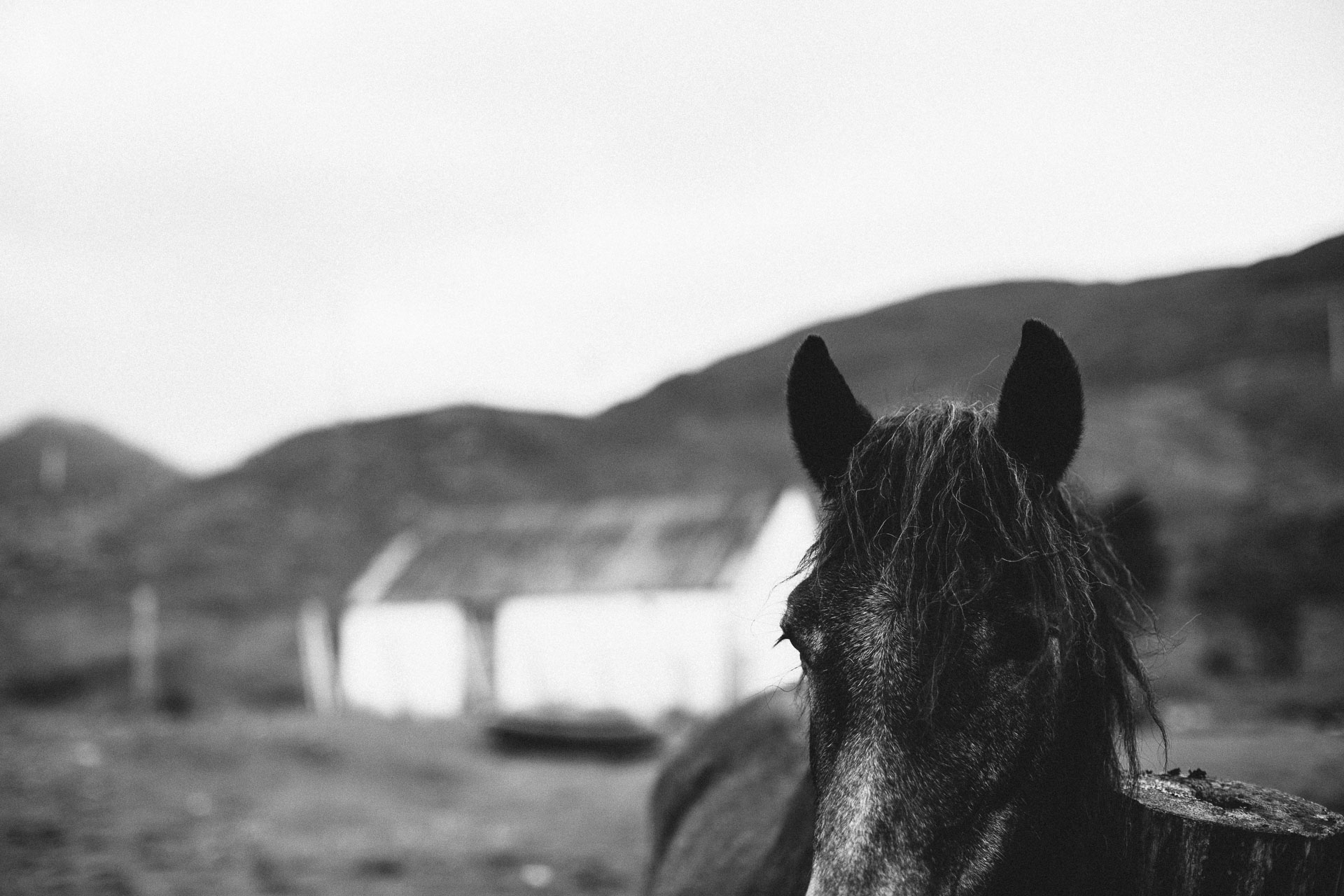 Isle Of Skye Intimate Elopement in Scotland by Jean-Laurent Gaudy Photography